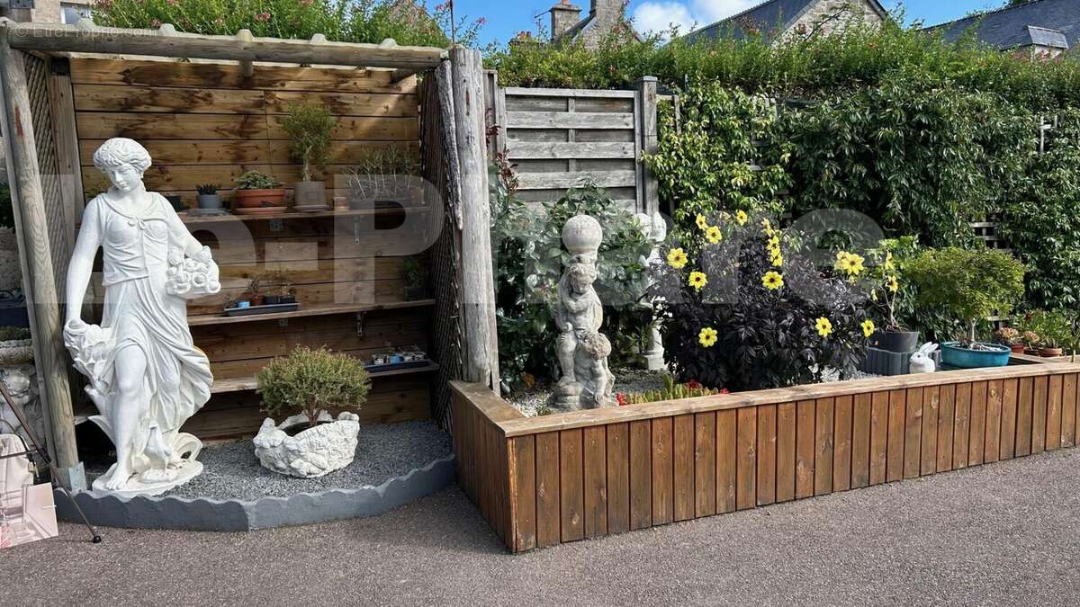 IMG_3734 - Maison à MONTFARVILLE