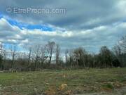 Terrain à NOUAILLE-MAUPERTUIS