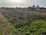 Terrain à CHATEAUBERNARD
