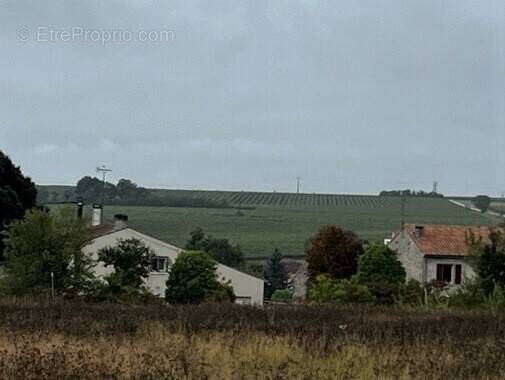 Terrain à SEGONZAC