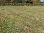 Terrain à BARBEZIEUX-SAINT-HILAIRE