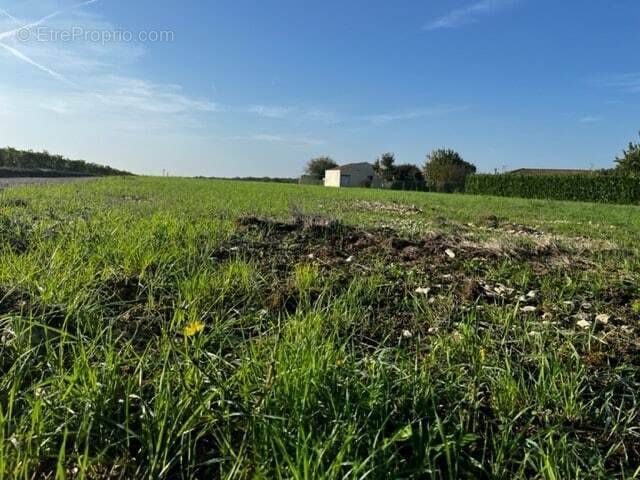 Terrain à LOUZAC-SAINT-ANDRE