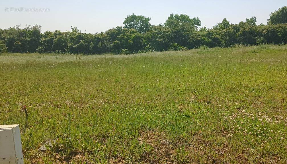 Terrain à SALLERTAINE