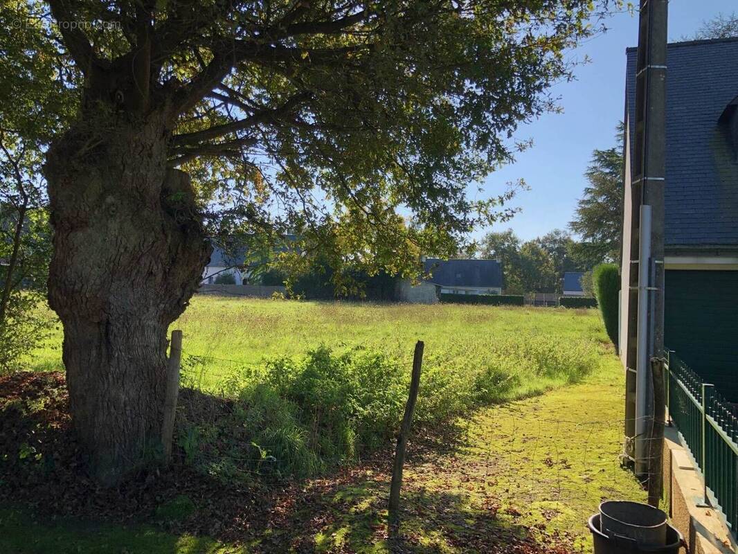 Terrain à SAINTE-FOY