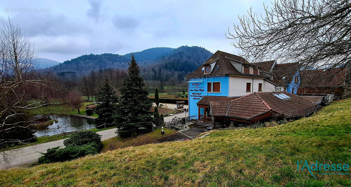 Commerce à METZERAL