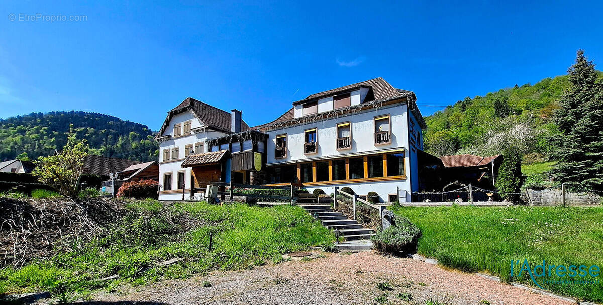 Commerce à METZERAL