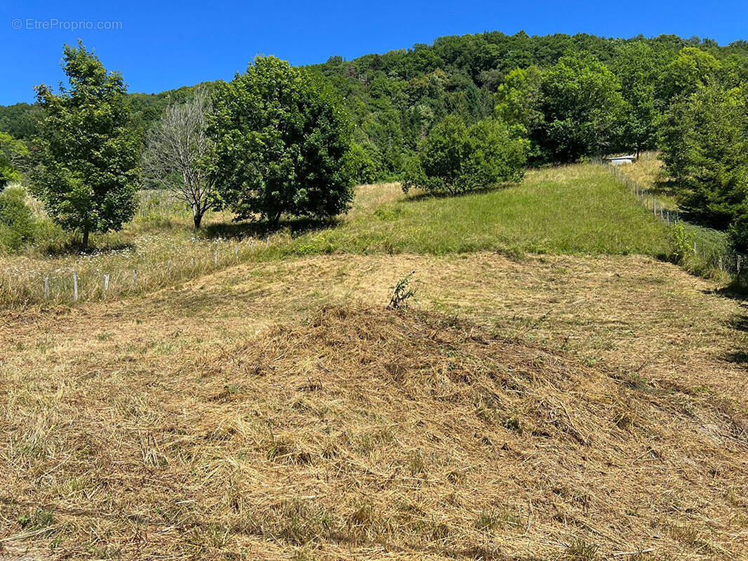 Terrain à JUJURIEUX
