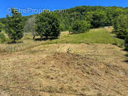 Terrain à JUJURIEUX