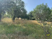 Terrain à LEGE-CAP-FERRET