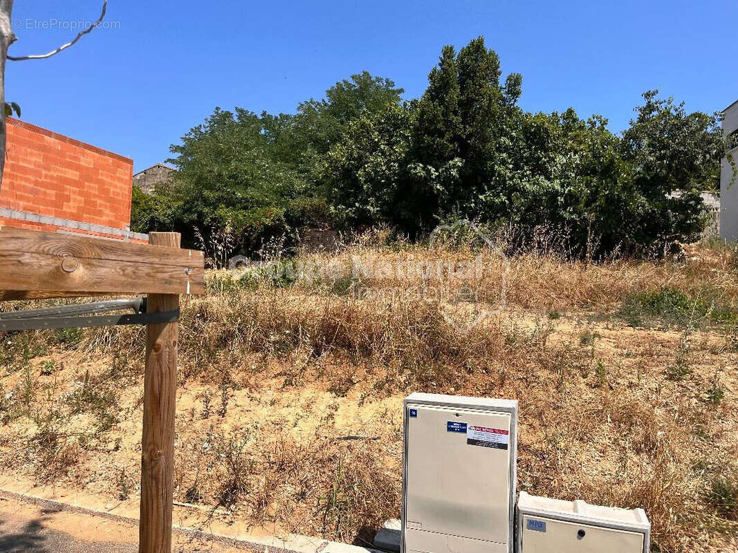 Terrain à MUS