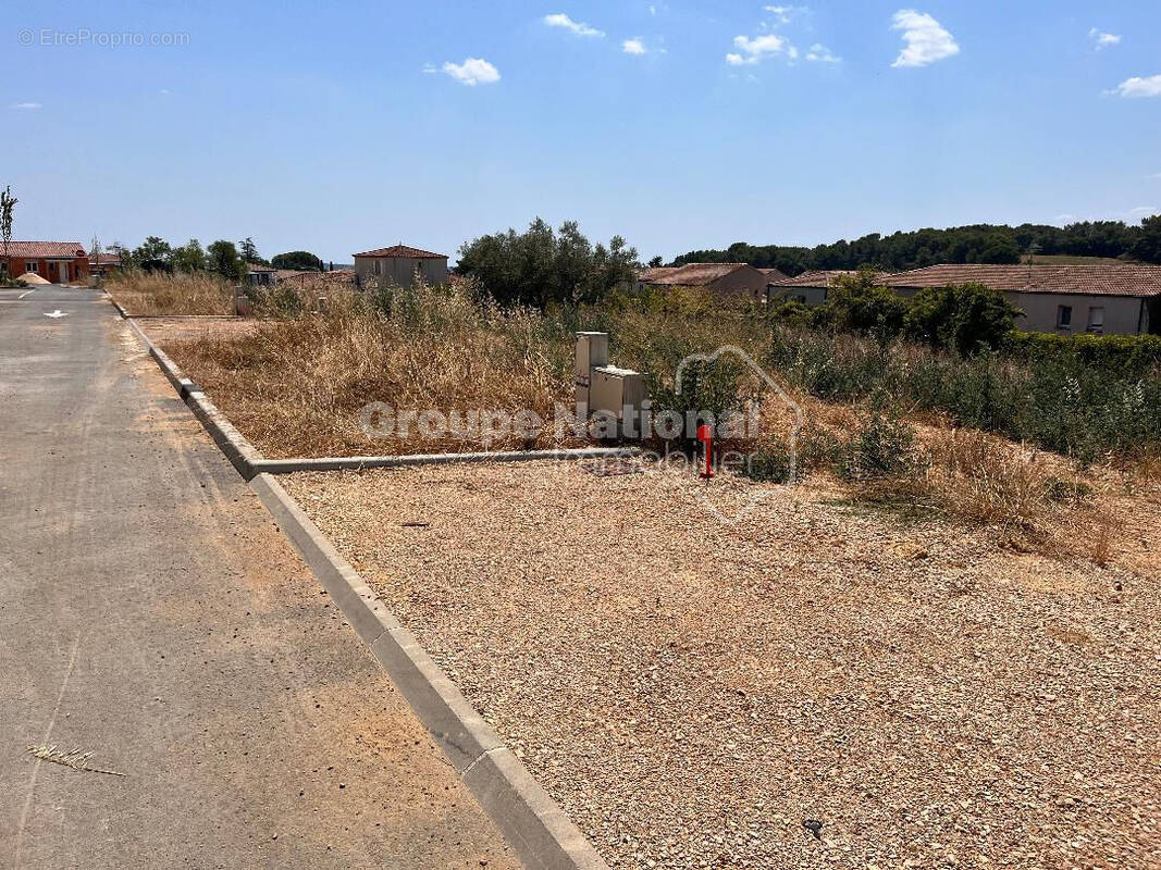 Terrain à MUS