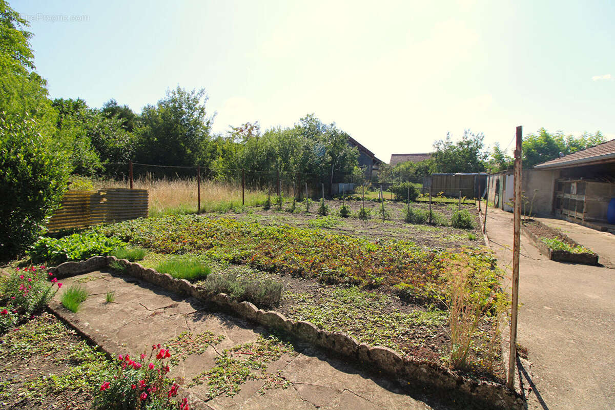 Maison à SOMMEVOIRE