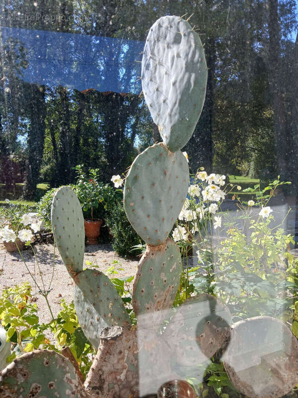 Maison à SAINT-SULPICE-DE-ROYAN