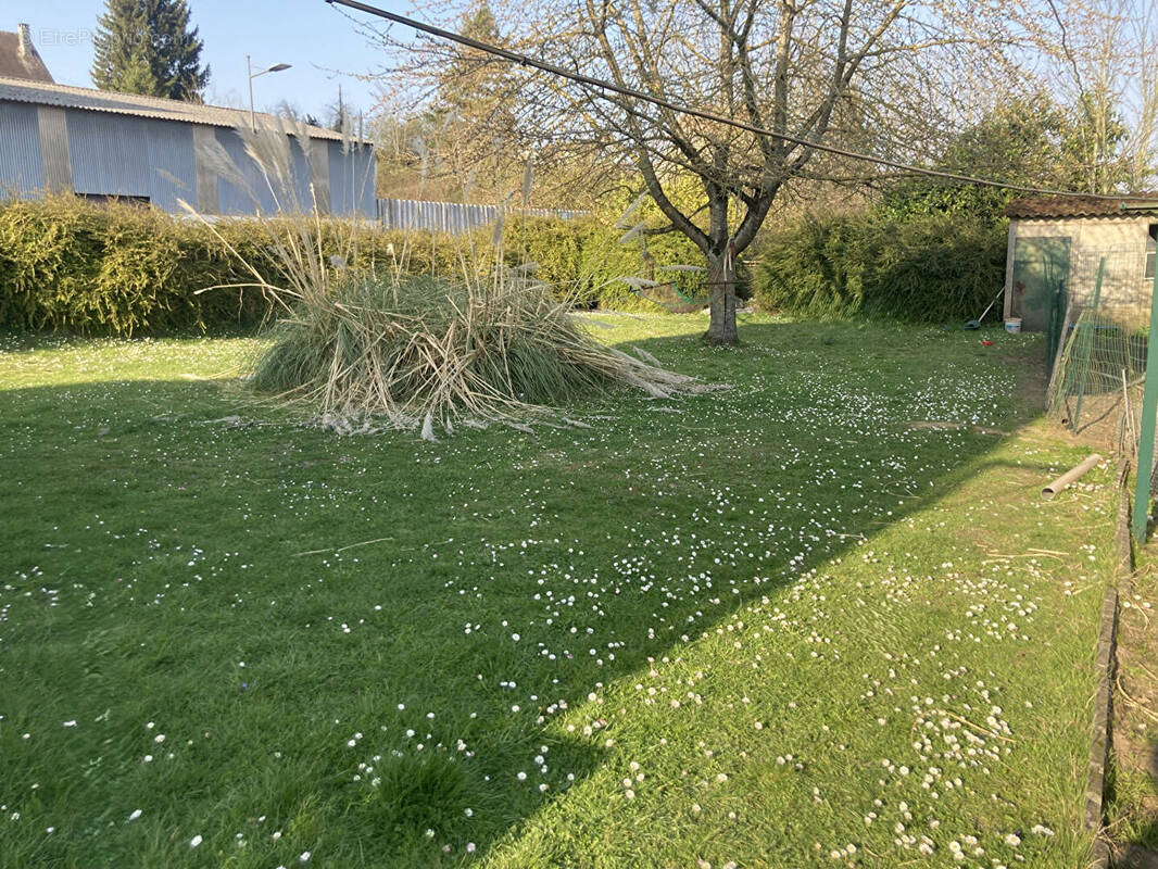 Terrain à THOUROTTE