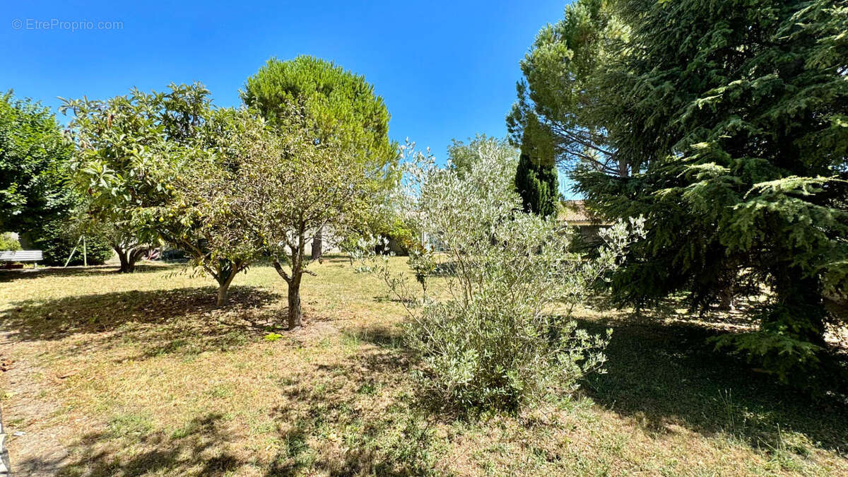 Maison à ENTRAIGUES-SUR-LA-SORGUE