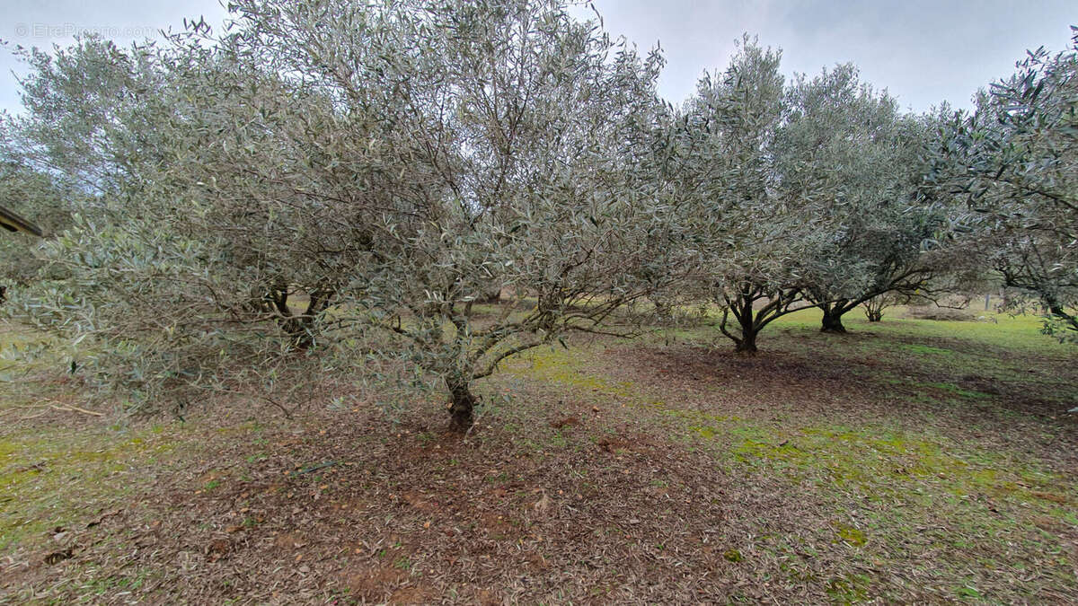Terrain à AIGUES-VIVES