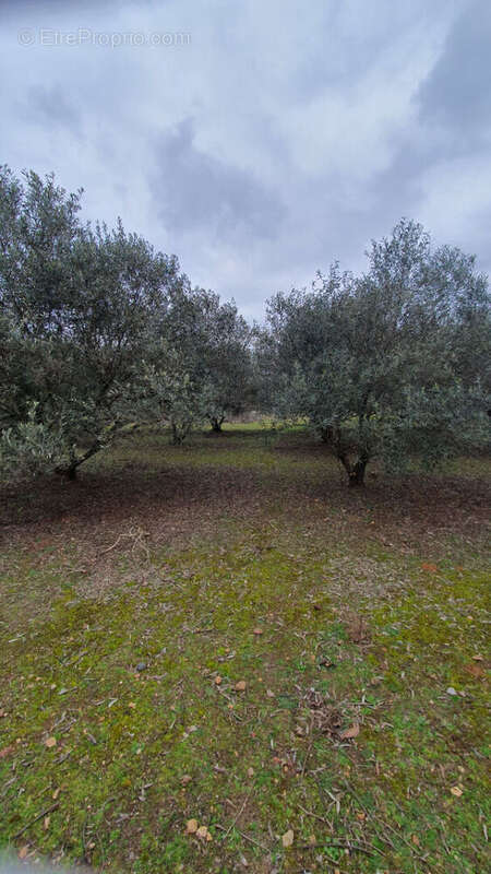 Terrain à AIGUES-VIVES