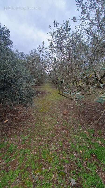 Terrain à AIGUES-VIVES