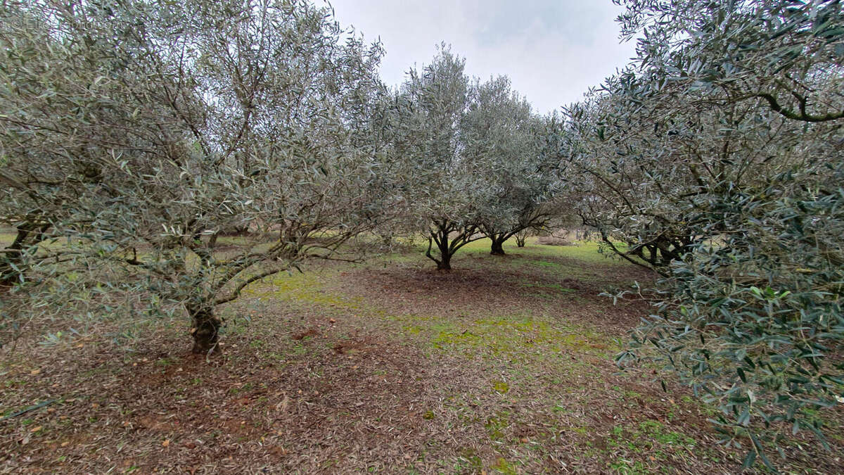 Terrain à AIGUES-VIVES