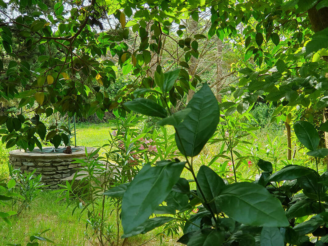 Maison à SAINT-COME-ET-MARUEJOLS