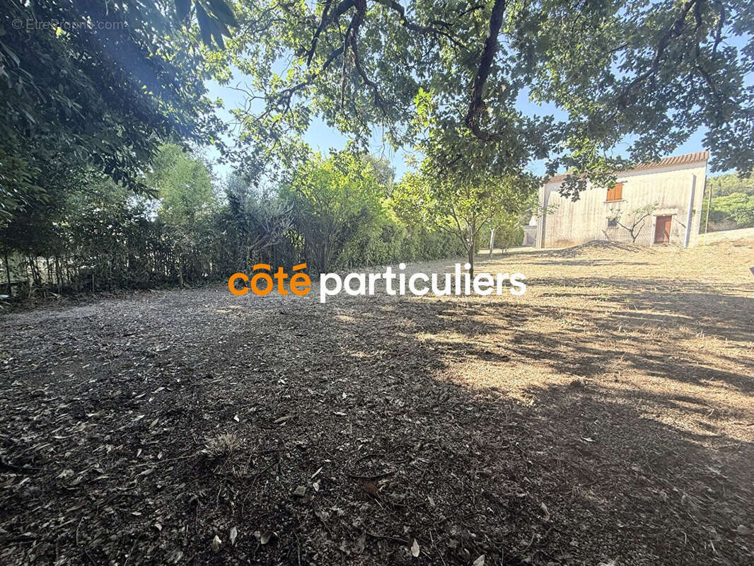 Terrain à CALVISSON