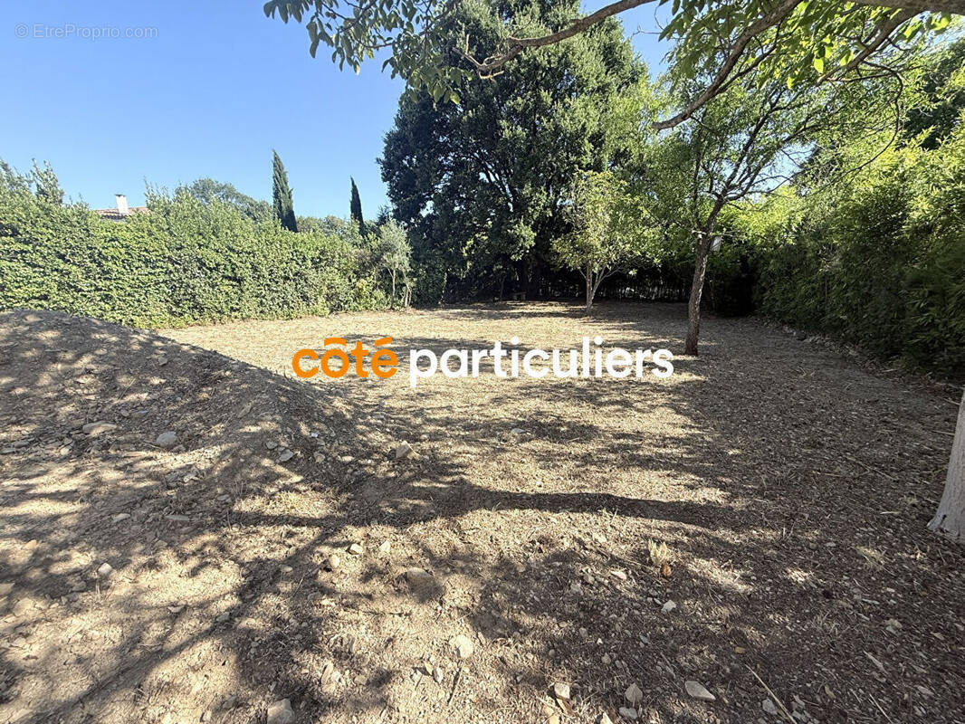 Terrain à CALVISSON