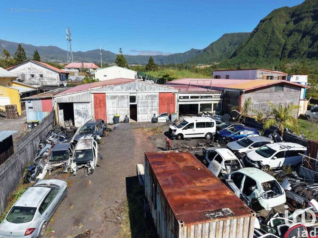 Photo 2 - Commerce à LA PLAINE-DES-PALMISTES