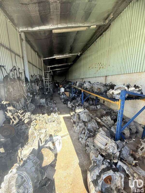 Photo 4 - Commerce à LA PLAINE-DES-PALMISTES