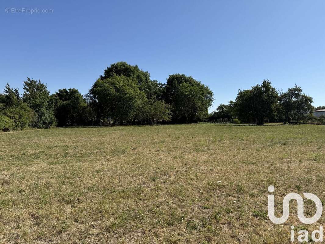 Photo 3 - Terrain à SAINT-MARTIAL-DE-VITATERNE