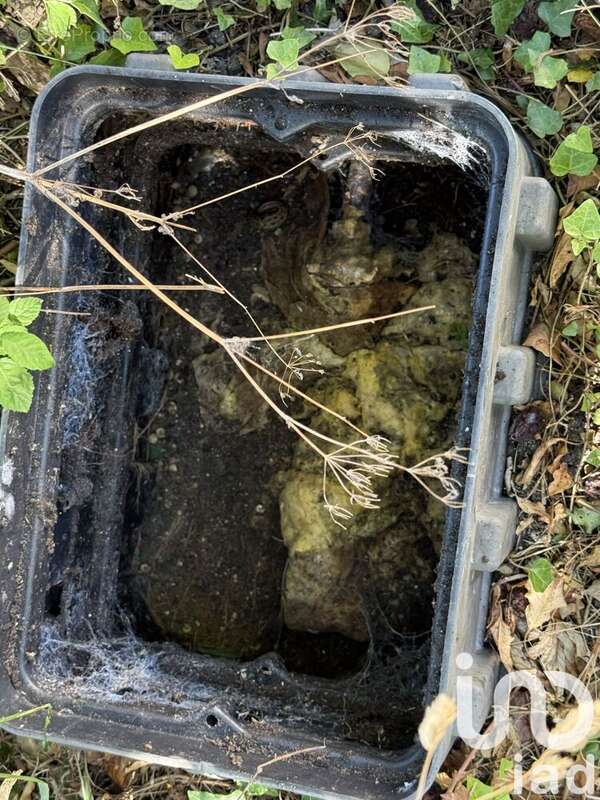 Photo 7 - Terrain à SAINT-MARTIAL-DE-VITATERNE