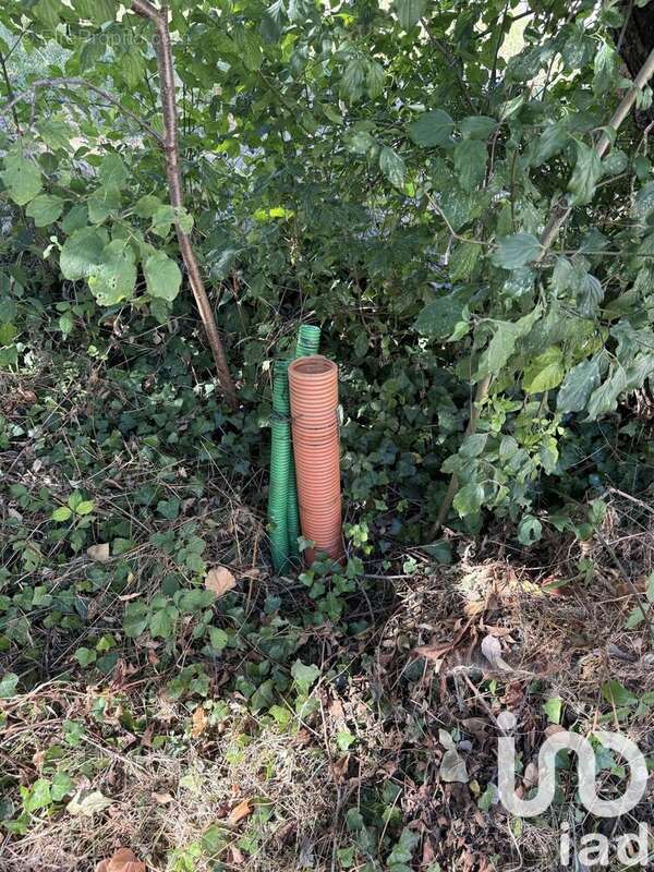 Photo 8 - Terrain à SAINT-MARTIAL-DE-VITATERNE