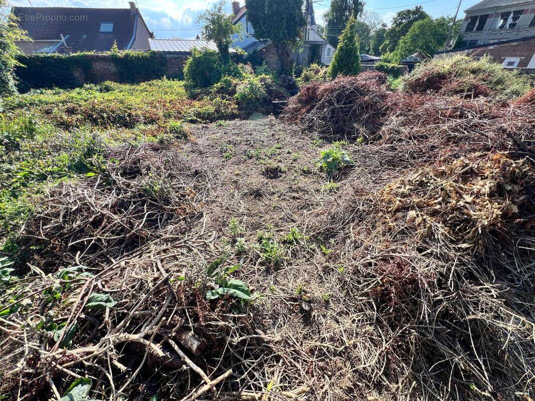 Photo 3 - Terrain à FAMARS