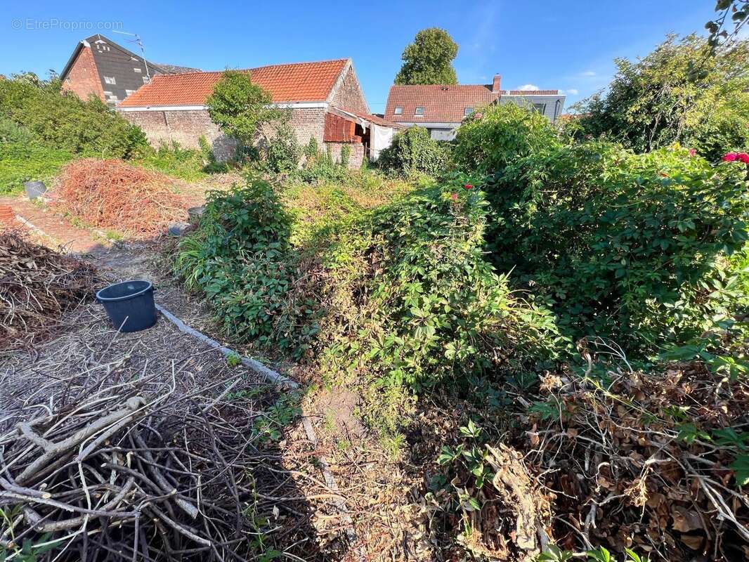 Photo 5 - Terrain à FAMARS