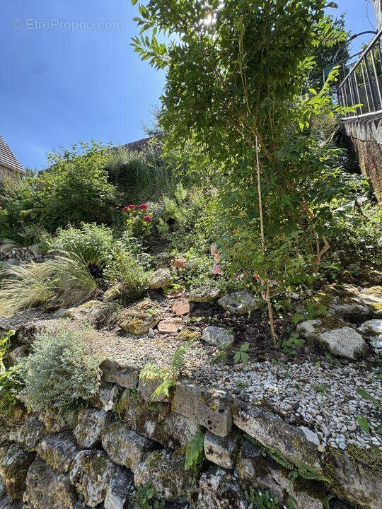 Maison à CHALO-SAINT-MARS