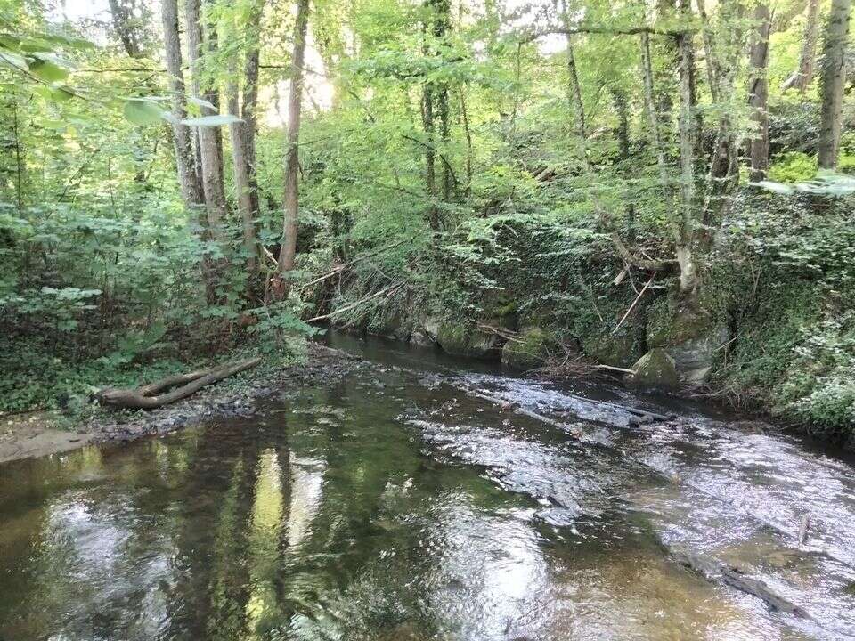 Maison à FERRIERES-SUR-SICHON