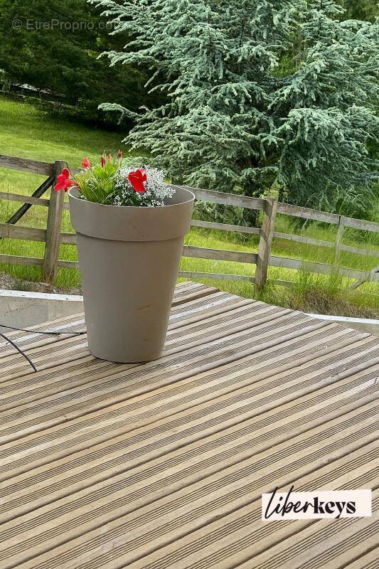 Appartement à SEYNE