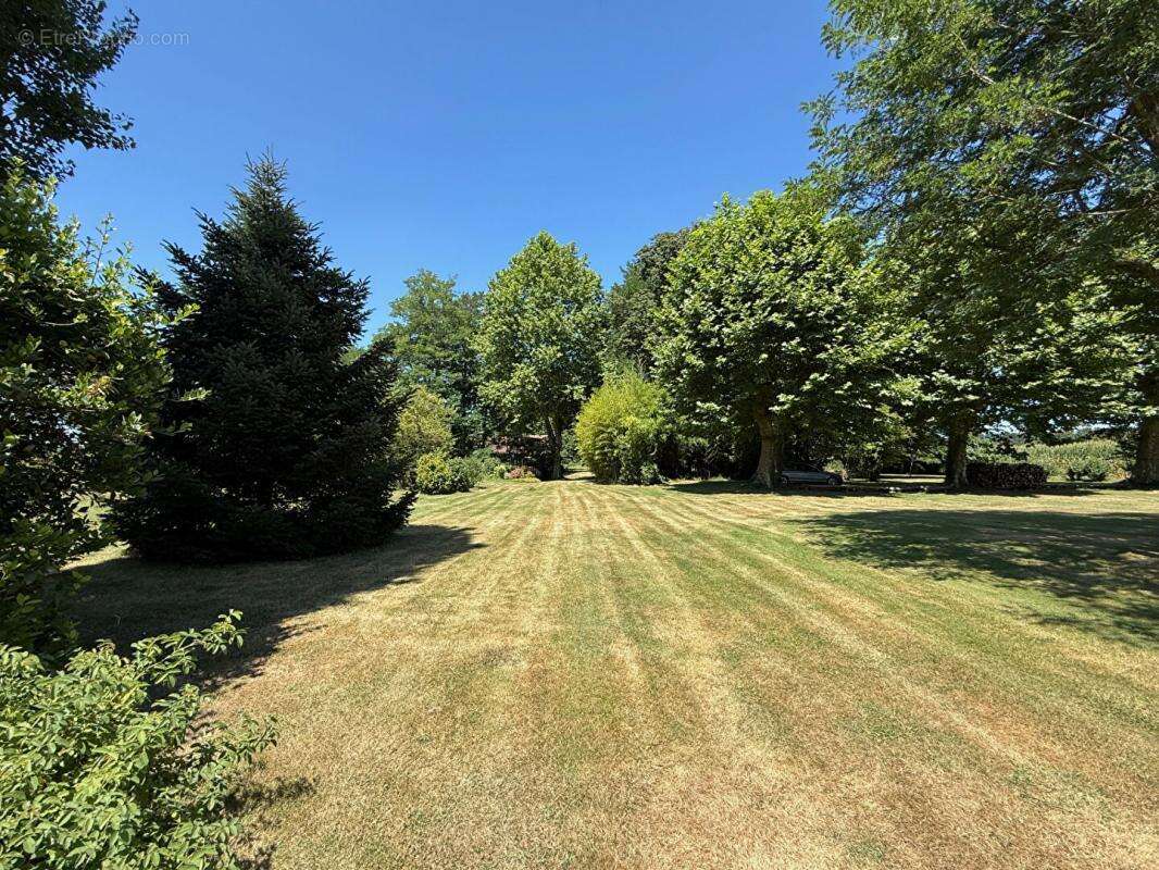 Maison à LABASTIDE-D&#039;ARMAGNAC