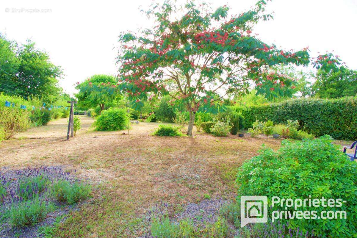 Maison à VIGNOUX-SUR-BARANGEON