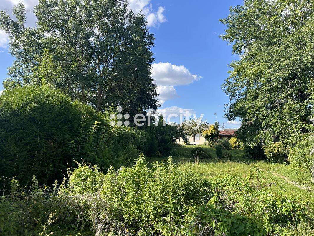 Terrain à COURMELLES