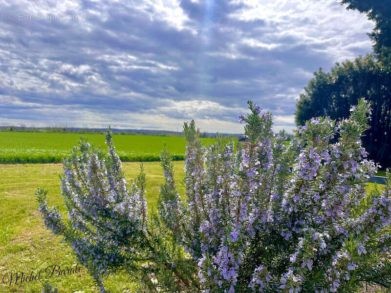 Maison à AUBERIVES-SUR-VAREZE