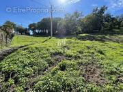 Terrain à PLAN-DE-LA-TOUR