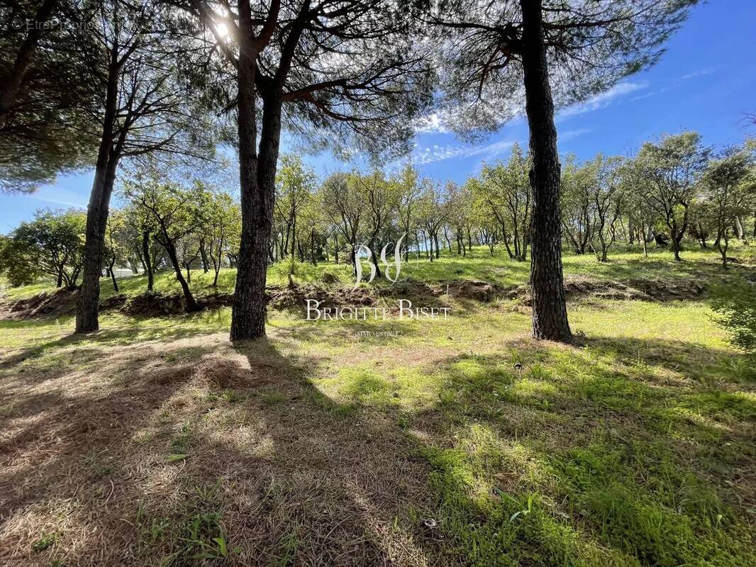 Terrain à PLAN-DE-LA-TOUR