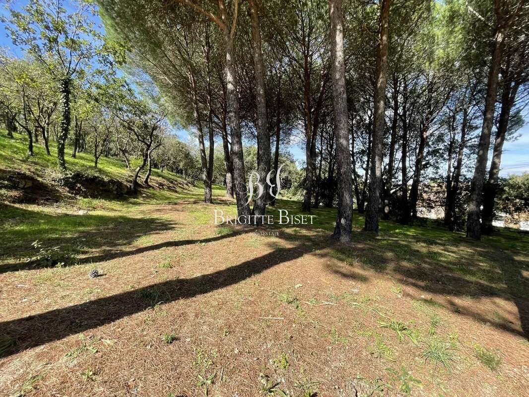 Terrain à PLAN-DE-LA-TOUR