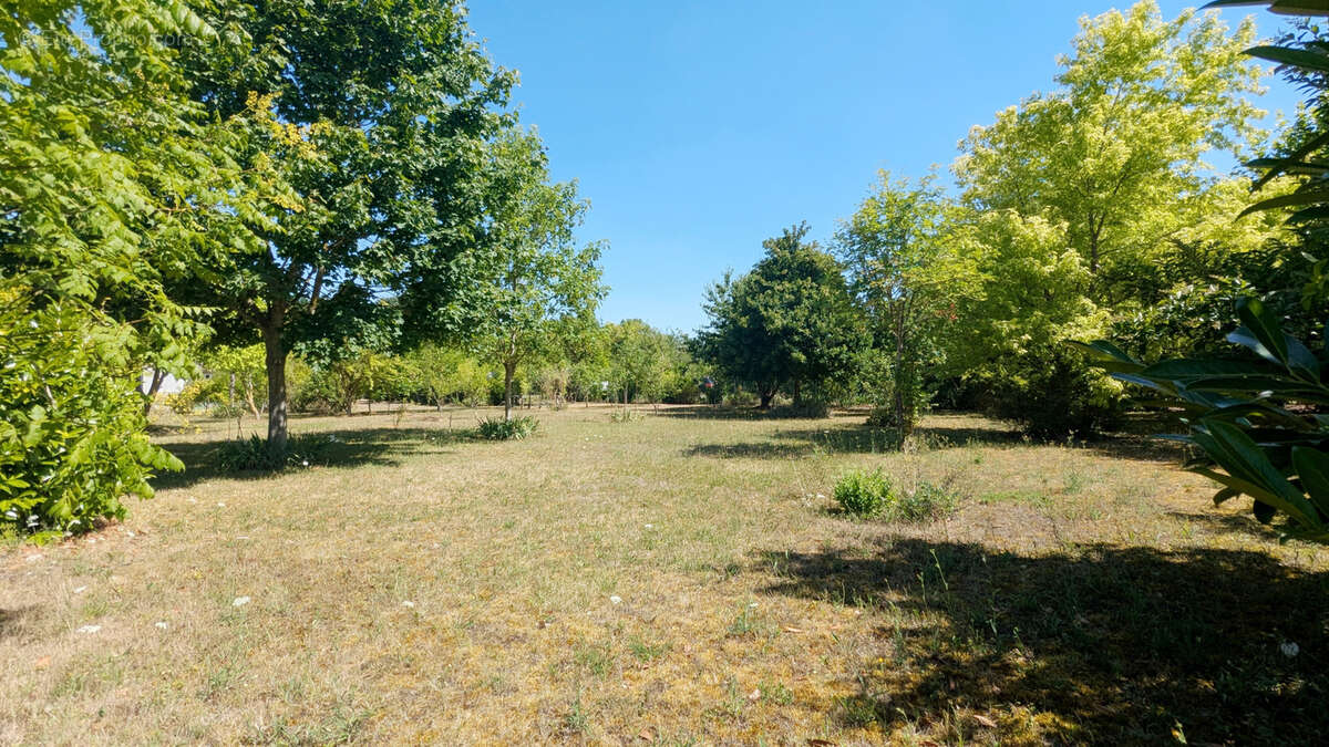 Maison à BEAUMONT-DU-GATINAIS