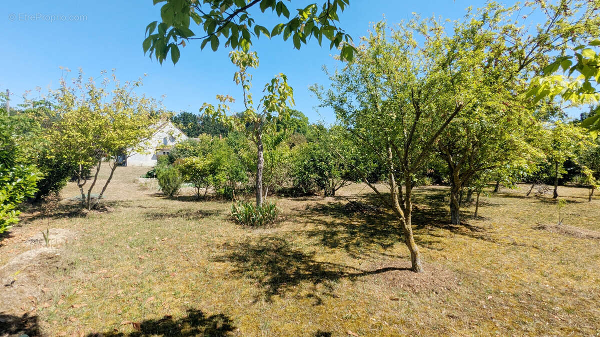 Maison à BEAUMONT-DU-GATINAIS