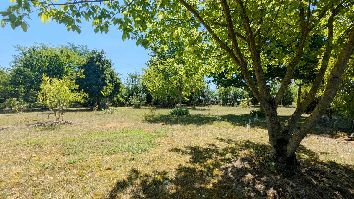 Maison à CHATEAU-LANDON