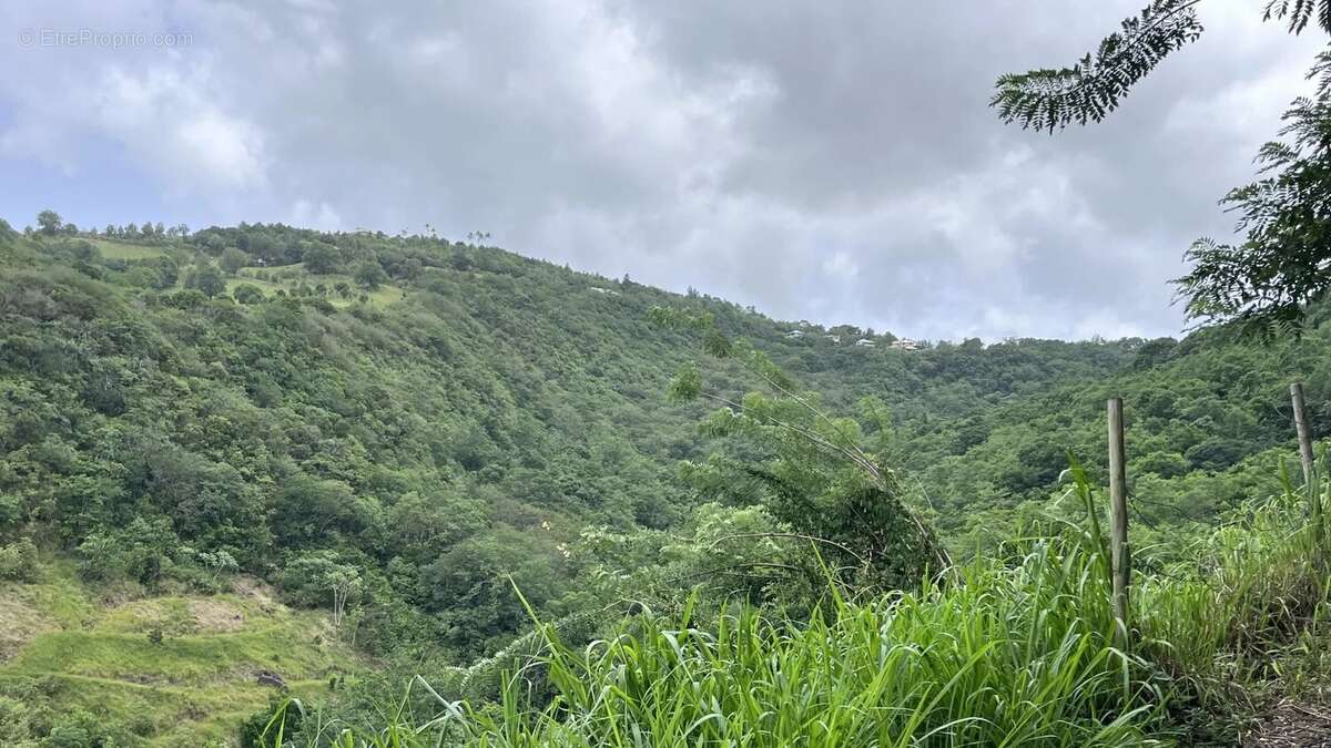 Terrain à RIVIERE-SALEE