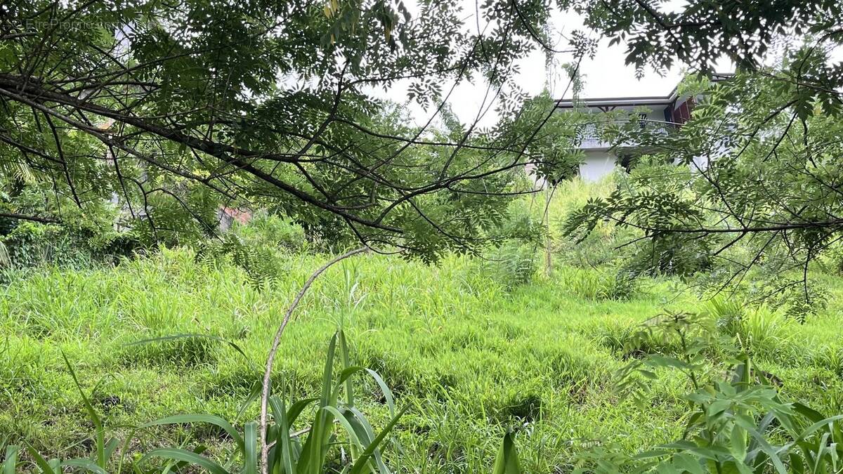 Terrain à RIVIERE-SALEE