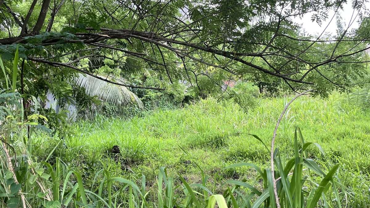 Terrain à RIVIERE-SALEE