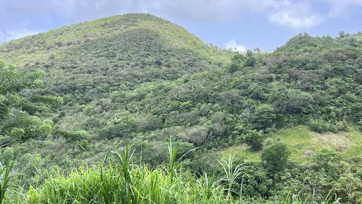 Terrain à RIVIERE-SALEE